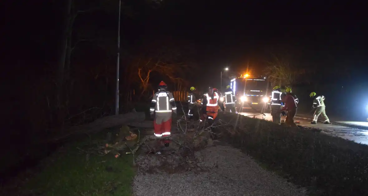 Brandweer en hovenier zagen omgewaaide boom in stukken - Foto 1