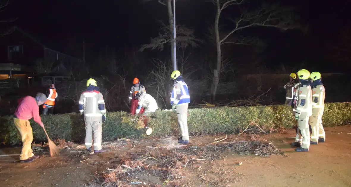 Brandweer en hovenier zagen omgewaaide boom in stukken - Foto 2