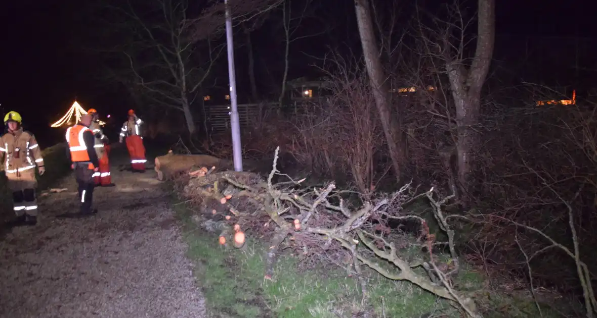 Brandweer en hovenier zagen omgewaaide boom in stukken - Foto 3