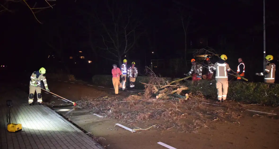 Brandweer en hovenier zagen omgewaaide boom in stukken - Foto 5