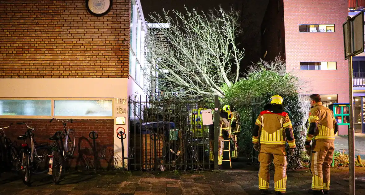 Boom valt tegen gebouw door harde wind