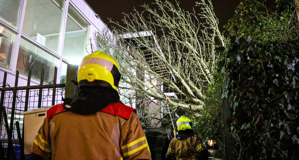 Boom valt tegen gebouw door harde wind - Foto 1