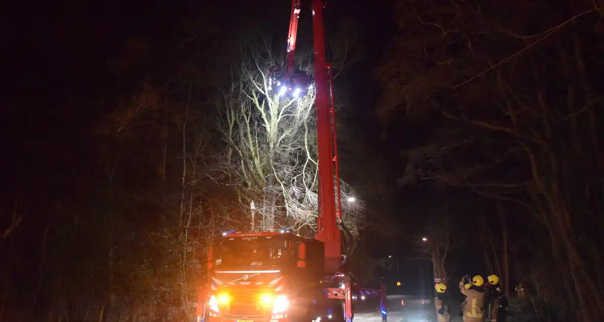 Hoogwerker ingezet bij verwijderen van takken - Foto 11