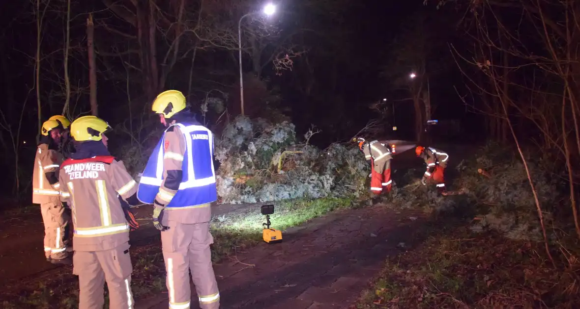 Hoogwerker ingezet bij verwijderen van takken - Foto 2