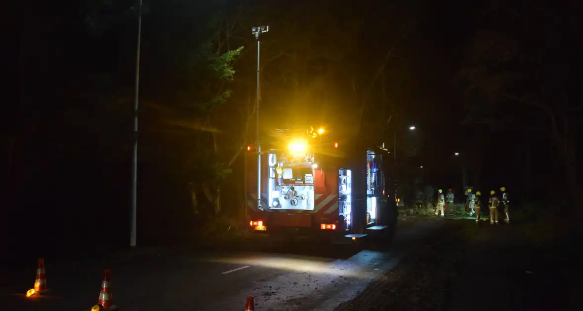 Hoogwerker ingezet bij verwijderen van takken - Foto 4