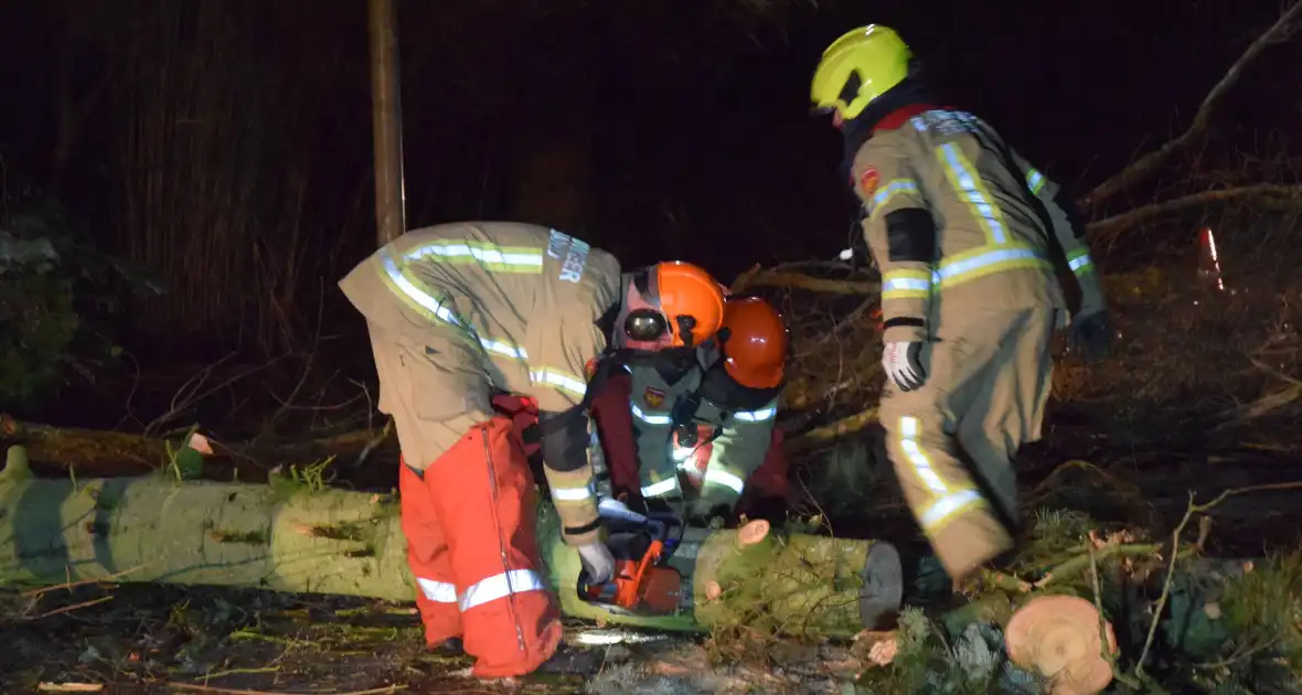 Hoogwerker ingezet bij verwijderen van takken - Foto 5