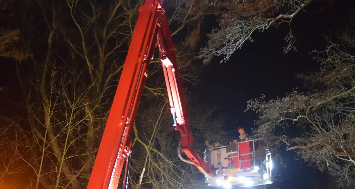 Hoogwerker ingezet bij verwijderen van takken - Foto 9