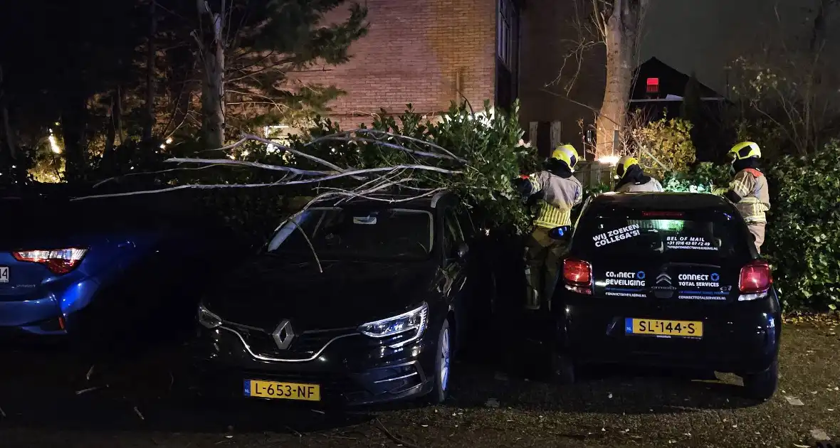 Boom belandt op geparkeerde auto