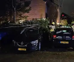 Boom belandt op geparkeerde auto