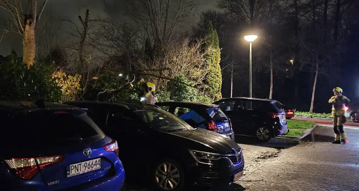 Boom belandt op geparkeerde auto - Foto 1