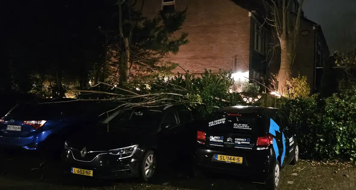 Boom belandt op geparkeerde auto - Foto 2