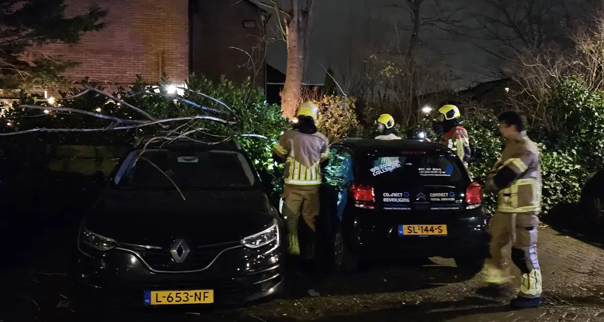 Boom belandt op geparkeerde auto - Foto 3