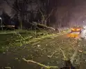 Auto zwaar beschadigd na vallende boom