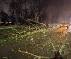 Auto zwaar beschadigd na vallende boom