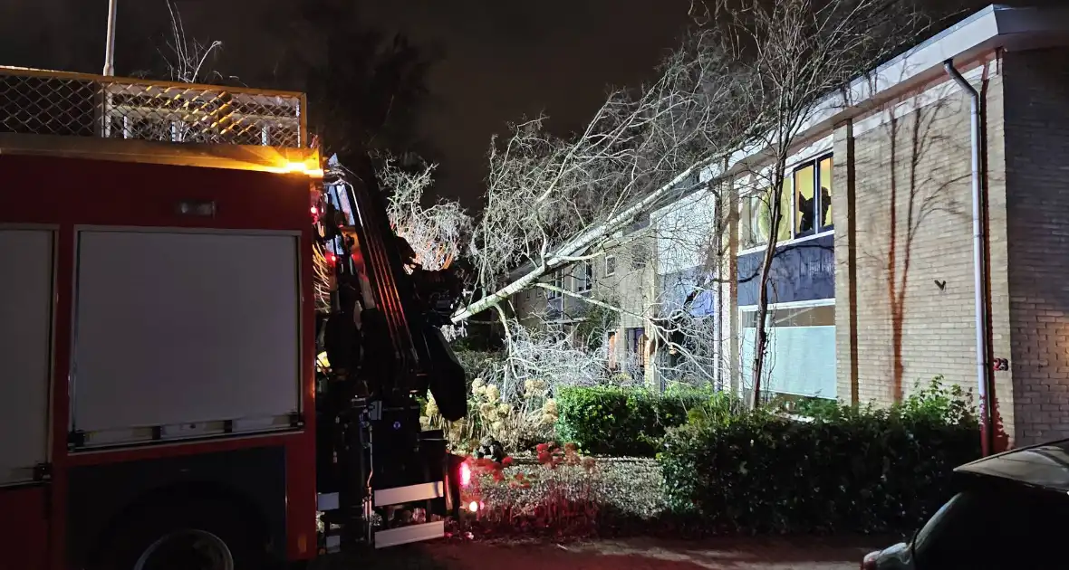 Grote boom waait om en belandt tegen woning - Foto 2