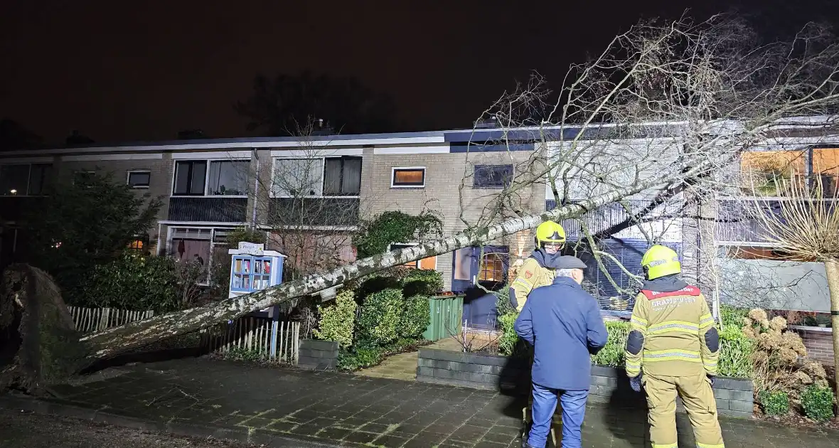 Grote boom waait om en belandt tegen woning - Foto 3