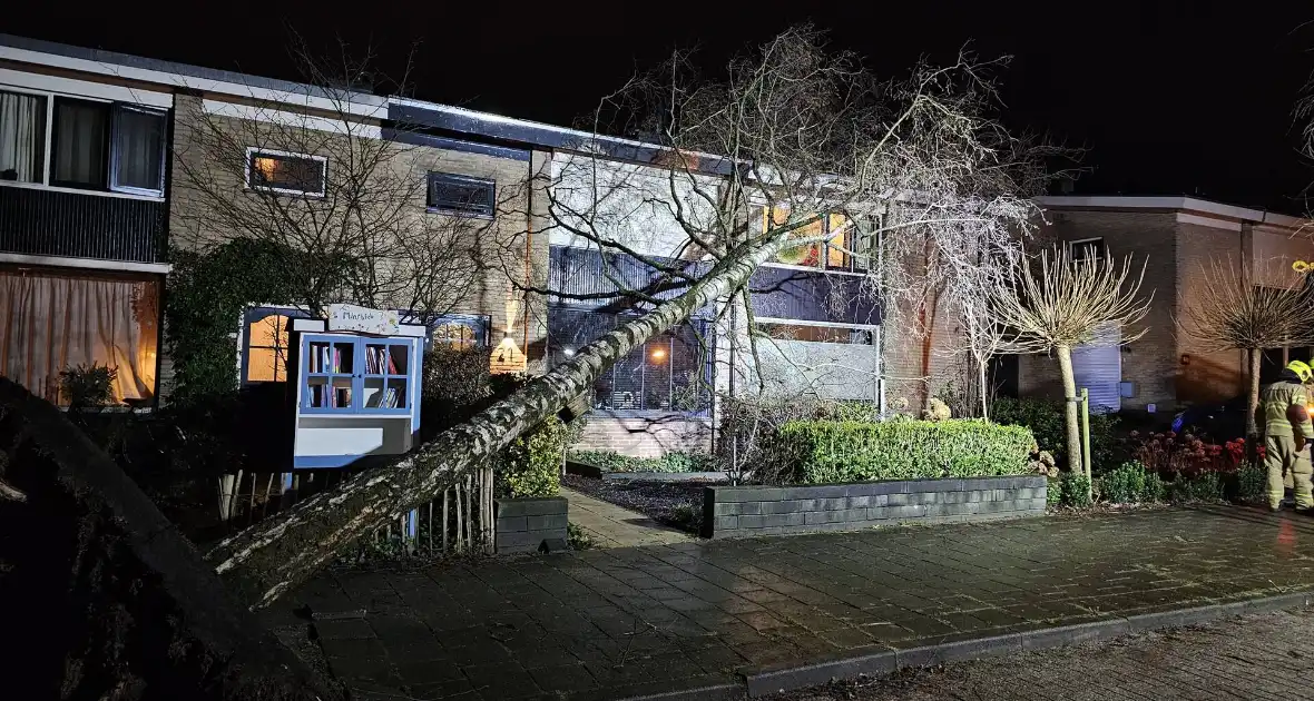 Grote boom waait om en belandt tegen woning - Foto 4