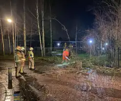 Omgevallen boom valt op hekwerk en blokkeert weg