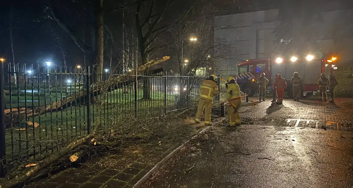 Omgevallen boom valt op hekwerk en blokkeert weg - Foto 1
