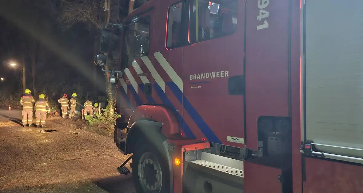 Brandweer verwijdert twee omgevallen bomen