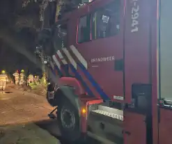 Brandweer verwijdert twee omgevallen bomen