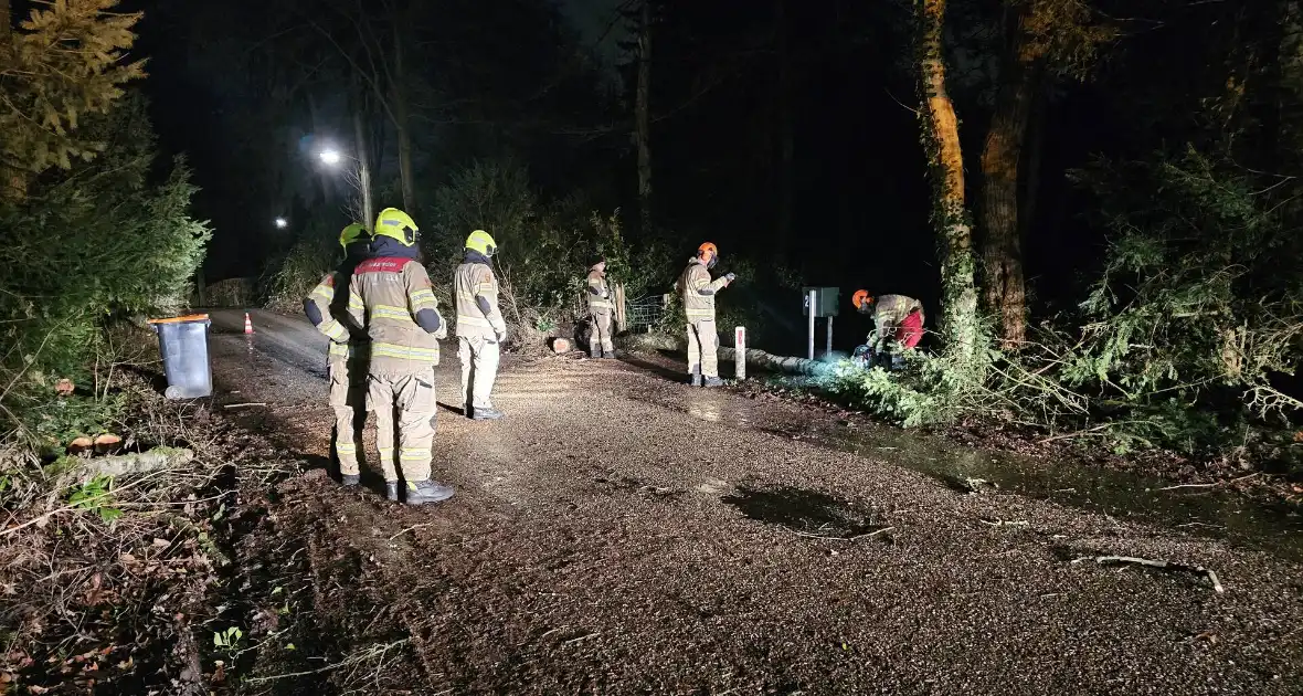 Brandweer verwijdert twee omgevallen bomen - Foto 5