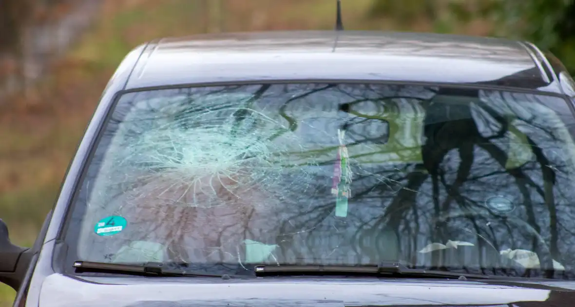 Automobilist rijdt op paal - Foto 7