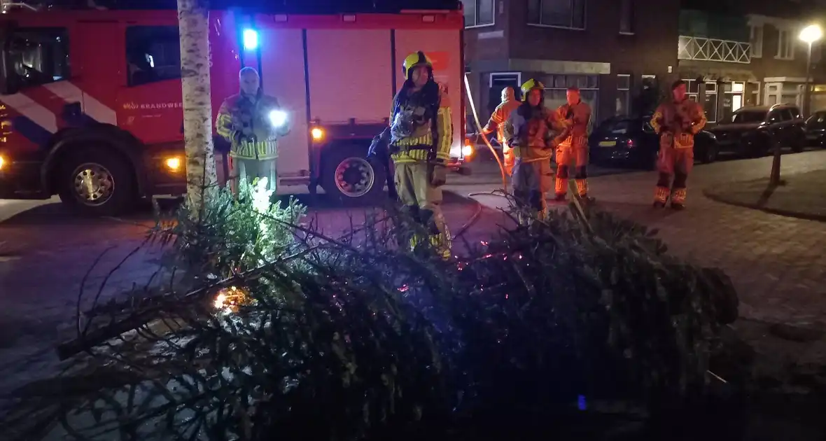 Brand in grote stapel kerstbomen