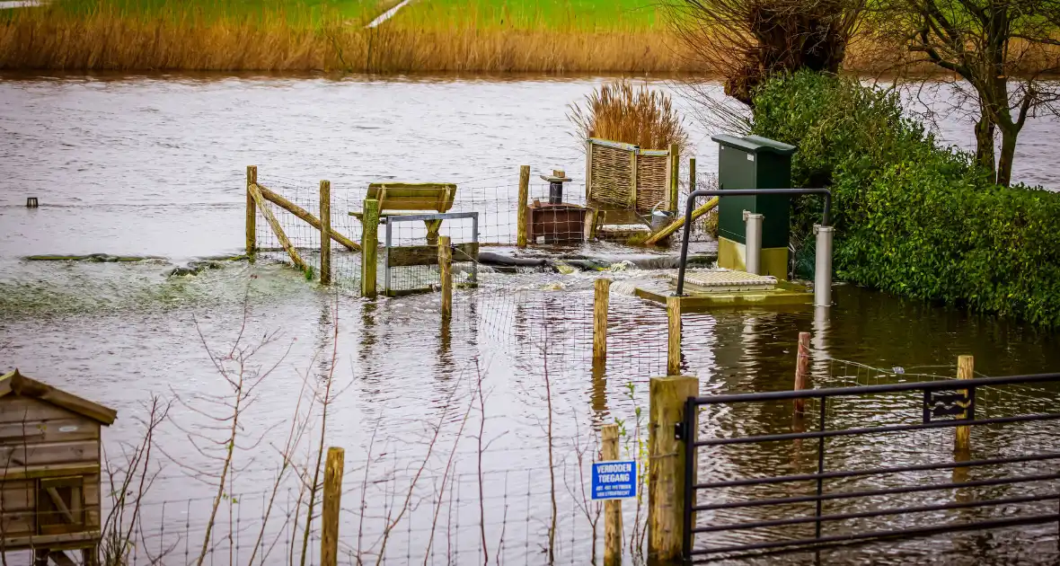 Hoogwater in de polder - Foto 4