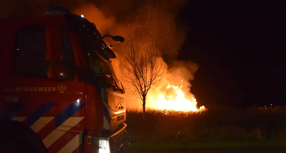 Kerstboomverbranding trekt veel bekijks - Foto 5