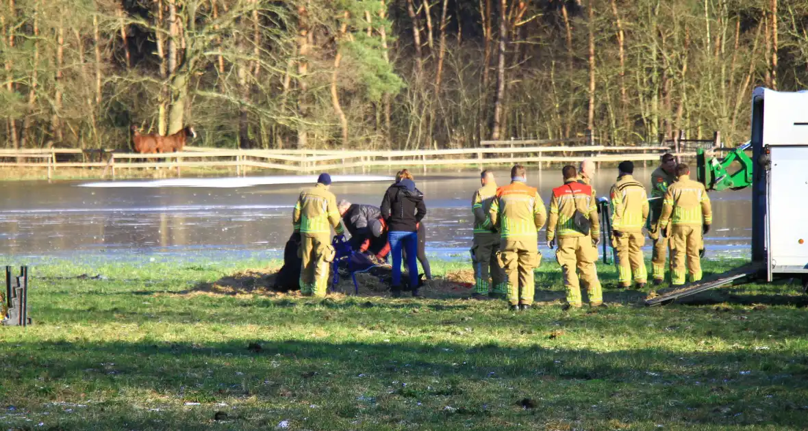 Brandweer ingezet voor een paard in nood