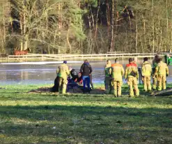 Brandweer ingezet voor een paard in nood