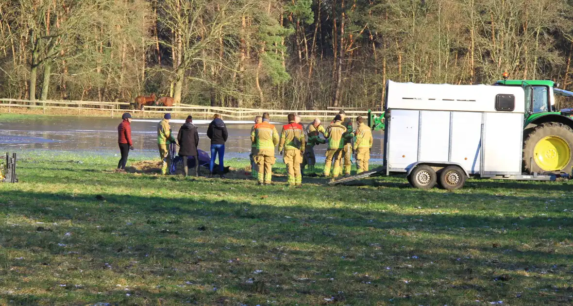 Brandweer ingezet voor een paard in nood - Foto 1