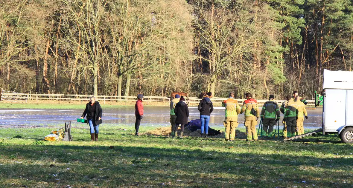 Brandweer ingezet voor een paard in nood - Foto 2