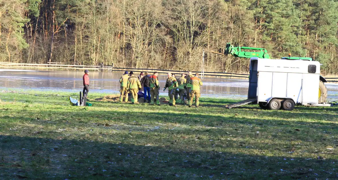 Brandweer ingezet voor een paard in nood - Foto 3