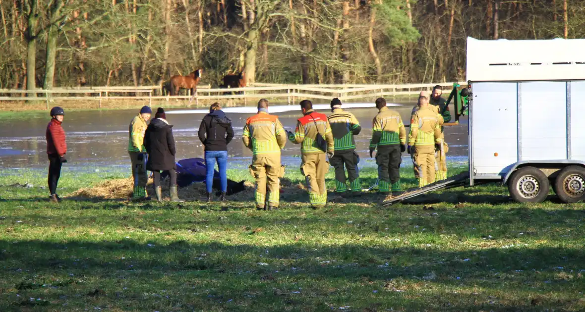 Brandweer ingezet voor een paard in nood - Foto 5