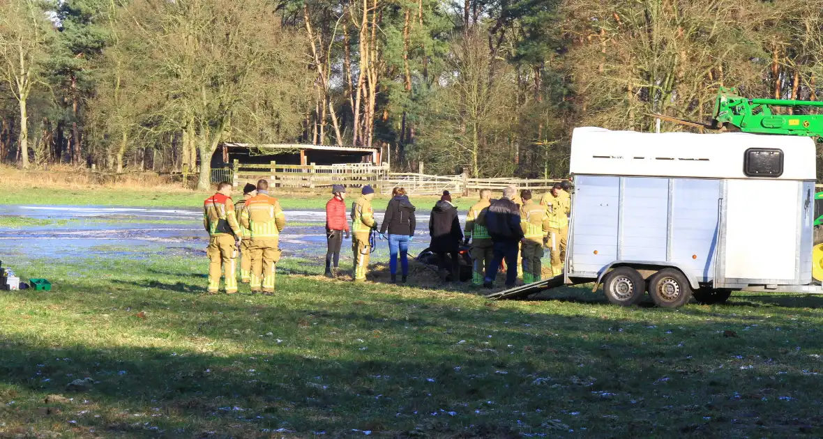 Brandweer ingezet voor een paard in nood - Foto 6