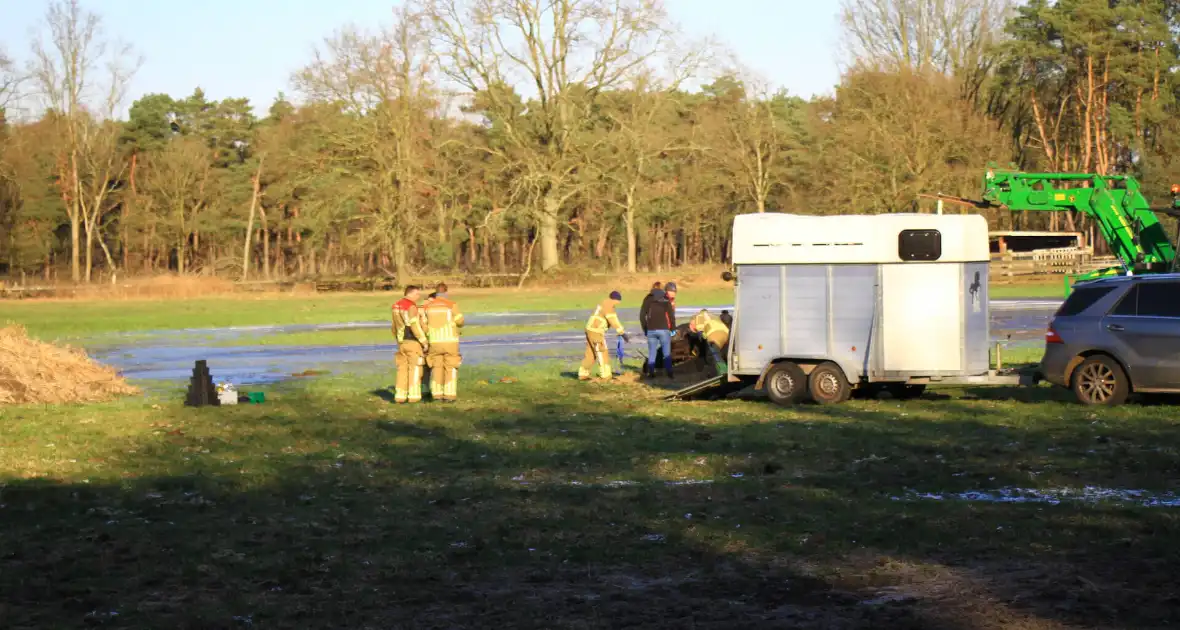 Brandweer ingezet voor een paard in nood - Foto 7