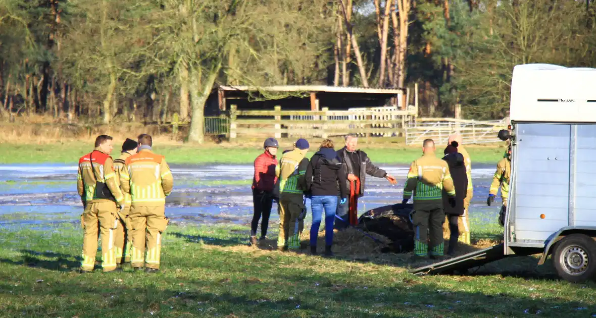 Brandweer ingezet voor een paard in nood - Foto 8