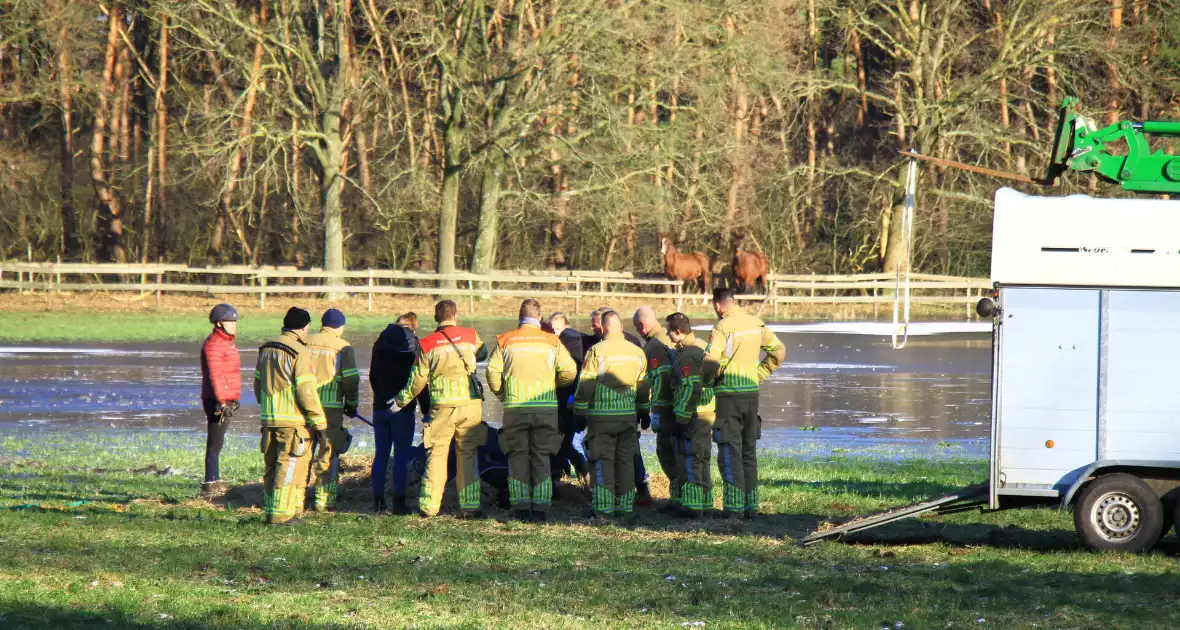 Brandweer ingezet voor een paard in nood - Foto 9