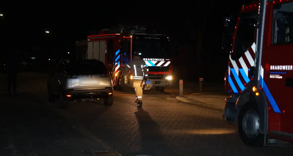 Eenden van het ijs gered door brandweer - Foto 2