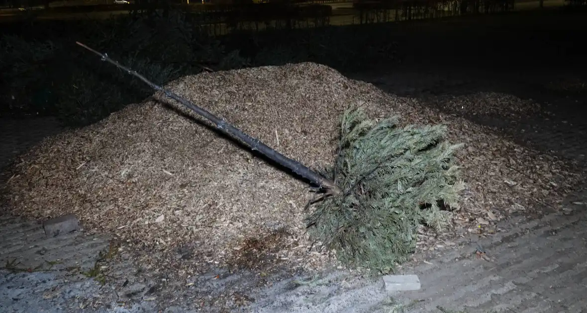 Kerstboom in brand gestoken - Foto 2