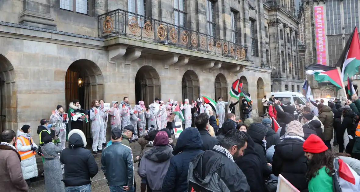 Grote opkomst bij pro Palestina demonstratie - Foto 3