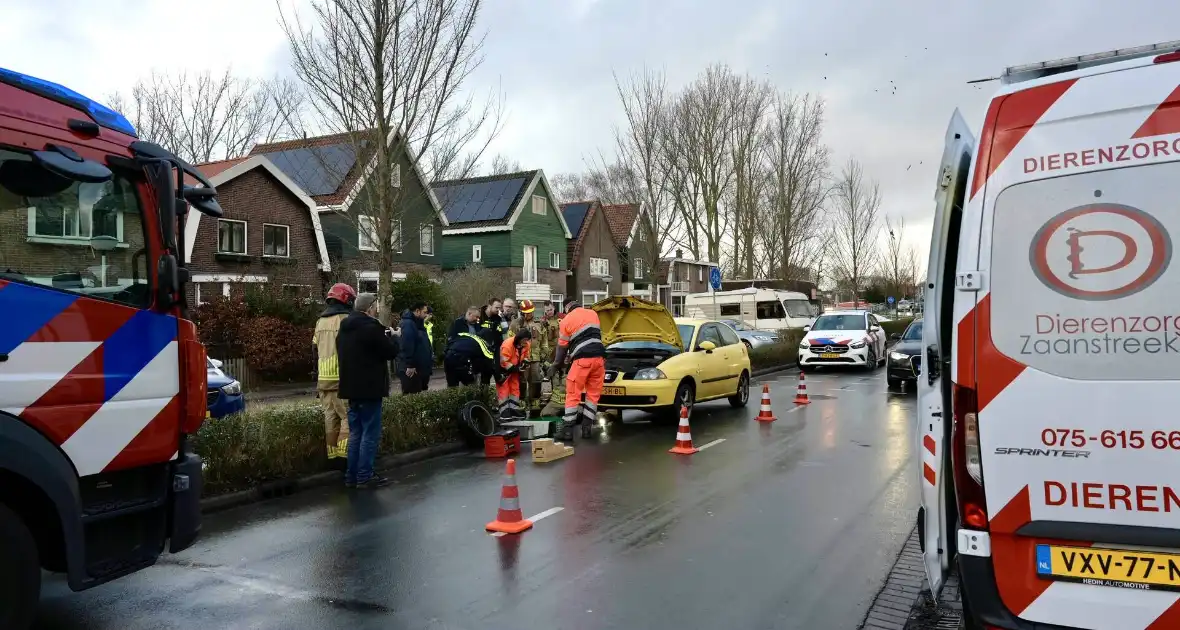 Hulpdiensten redden aangereden kat uit auto