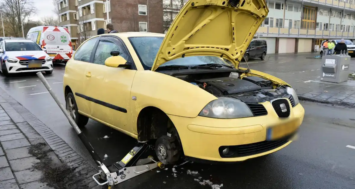 Hulpdiensten redden aangereden kat uit auto - Foto 4