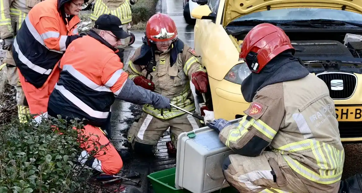 Hulpdiensten redden aangereden kat uit auto - Foto 6