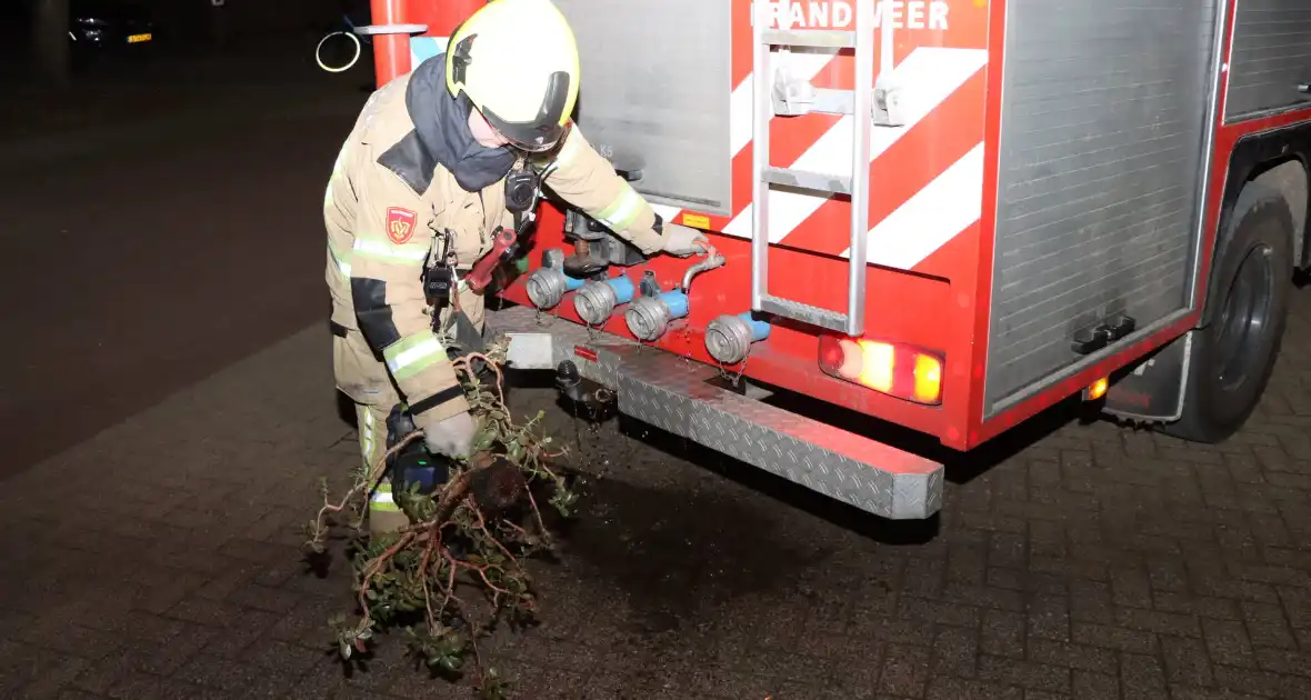 Brandweer ingezet voor brandende plant - Foto 2