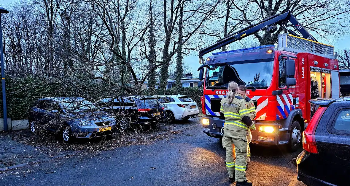 Meerdere auto's beschadigd door omgevallen boom