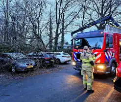 Meerdere auto's beschadigd door omgevallen boom