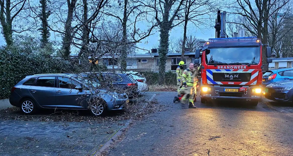 Meerdere auto's beschadigd door omgevallen boom - Foto 1